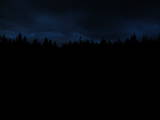 19 : 46