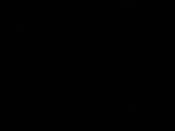 04 : 38