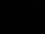 04 : 46