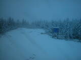 19 : 38