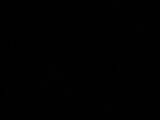 21 : 22