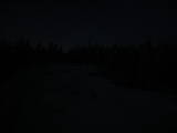 21 : 14