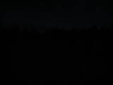 21 : 22