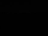 23 : 06
