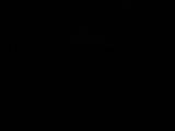 03 : 46