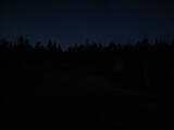 21 : 14