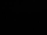 23 : 50