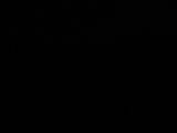 00 : 30