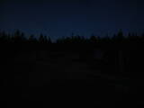 21 : 14