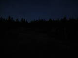 21 : 14