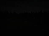 21 : 46