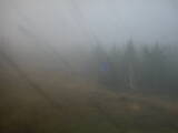 13 : 50
