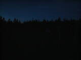 22 : 42