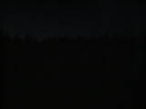 23 : 10