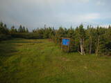 19 : 46