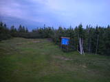 20 : 50