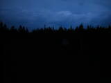 21 : 46