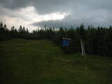 19 : 46