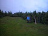 20 : 50