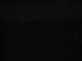 23 : 10