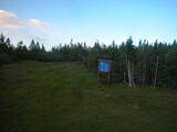19 : 14