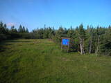 19 : 18