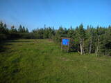 19 : 22