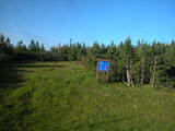 19 : 42