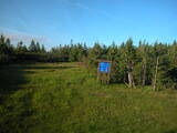 19 : 54