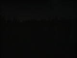 23 : 50
