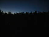 03 : 06