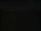 23 : 50