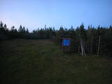 21 : 46