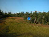 19 : 10