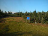 19 : 14