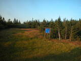 19 : 50