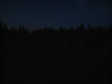 21 : 54