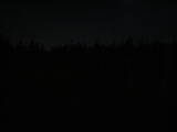 03 : 46