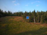 19 : 46