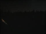 23 : 50