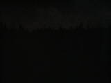 02 : 46