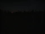 03 : 50