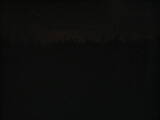 23 : 10