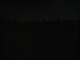 02 : 46
