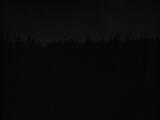 03 : 46
