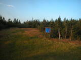 19 : 54