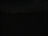 03 : 46