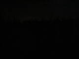 03 : 46
