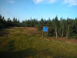 19 : 10