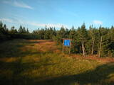 19 : 46